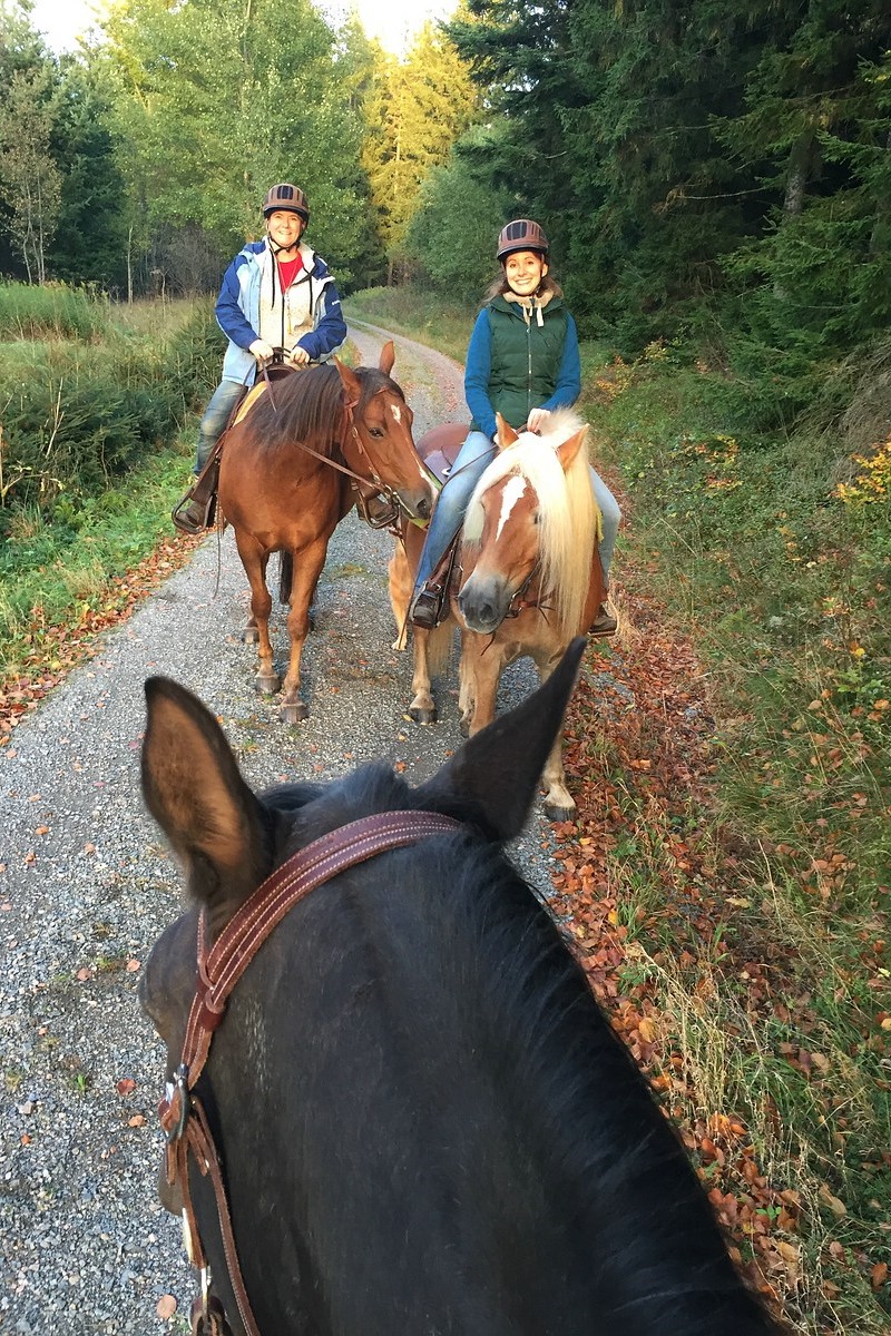 Hoch zu Pferd
