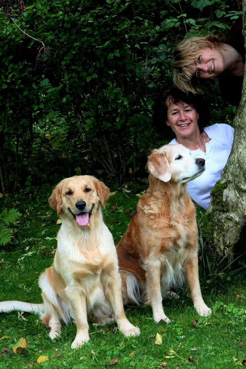 Hunde
